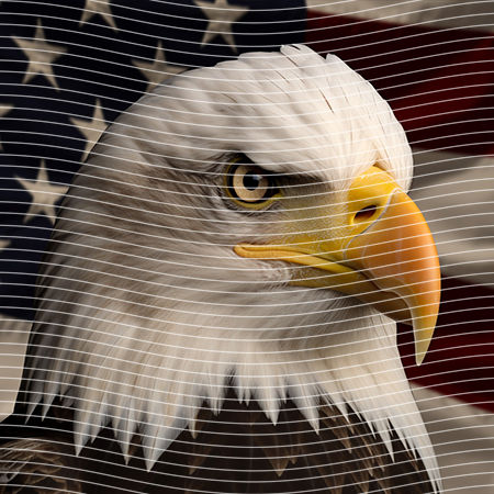 20oz integrate-EJ-10657